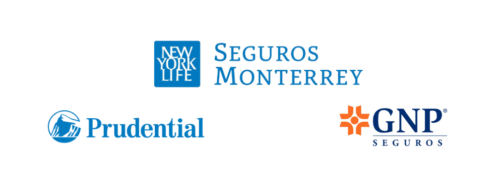 //segurosdemulder.com/wp-content/uploads/2024/05/SEGUROS-DEMULDER-ASEGURADORAS.png